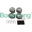 Borsehung B19151 - Jeu de segments de pistons