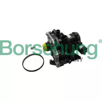 Borsehung B19205 - Kit pompe à eau