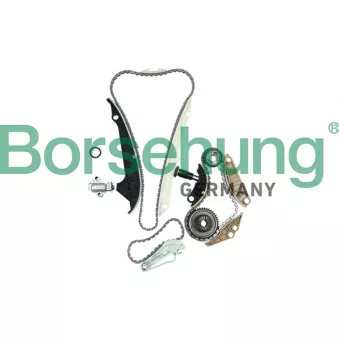 Kit de distribution par chaîne Borsehung OEM 12-0009