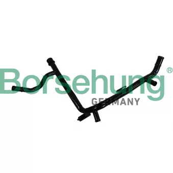 Tuyauterie du réfrigérant Borsehung B19217 pour VOLKSWAGEN NEW BEETLE 2.0 - 115cv