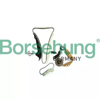 Kit de distribution par chaîne Borsehung OEM V10-10022-BEK