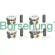 Borsehung B19303 - Jeu de segments de pistons