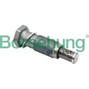 Borsehung B1T012 - Tendeur, chaîne de distribution