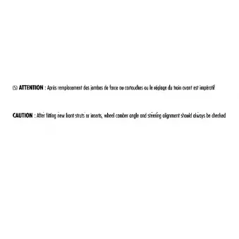 Amortisseur avant droit RECORD FRANCE [333872]