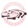 MASTER-SPORT GERMANY 1612-ZW-LPG-SET-MS - Kit de câbles d'allumage