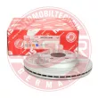 MASTER-SPORT GERMANY 24012201921-PCS-MS - Jeu de 2 disques de frein arrière