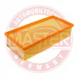 MASTER-SPORT GERMANY 31145-LF-PCS-MS - Filtre à air