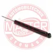 MASTER-SPORT GERMANY 313291-PCS-MS - Jeu de 2 amortisseurs arrière