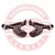 MASTER-SPORT GERMANY 36916/1-KIT-MS - Jeu de bras, suspension de roue