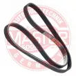 MASTER-SPORT GERMANY 4PK955-PCS-MS - Courroie trapézoïdale à nervures