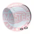MASTER-SPORT GERMANY 817/3X-KF-PCS-MS - Filtre à carburant