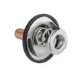 SAMAXX CTM-RE-011 - Thermostat d'eau