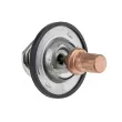 TEKNÖR CTM-RE-011 - Thermostat d'eau