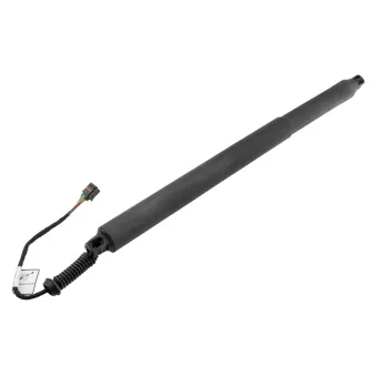 Moteur électrique, hayon arrière TEKNÖR OEM 81770C5100