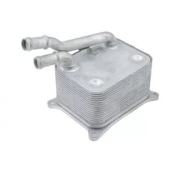 Radiateur d'huile TEKNÖR CCL-AU-051