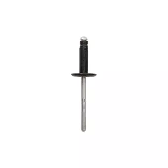 Clip, enjoliveur RESTAGRAF OEM 6974C4