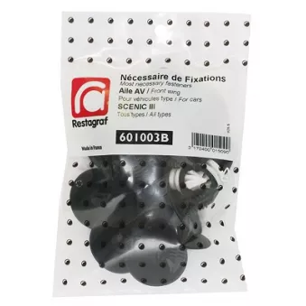 Kit de clip de fixation, carrosserie RESTAGRAF 601003B pour RENAULT SCENIC 1.6 E85 - 110cv