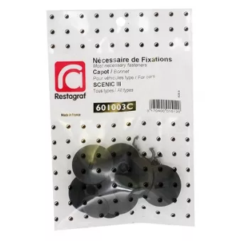 Kit de clip de fixation, carrosserie RESTAGRAF 601003C