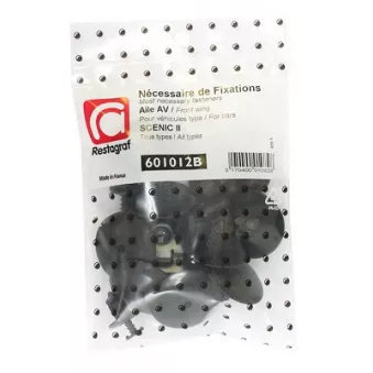 Kit de clip de fixation, carrosserie RESTAGRAF [601012B]
