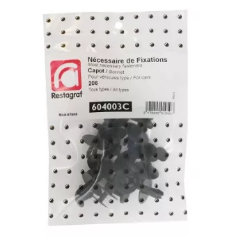 Kit de clip de fixation, carrosserie RESTAGRAF 604003C pour PEUGEOT 206 1.9 D - 69cv