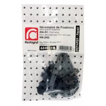 Kit de clip de fixation, carrosserie RESTAGRAF 604011B pour PEUGEOT 206 2.0 HDI - 140cv