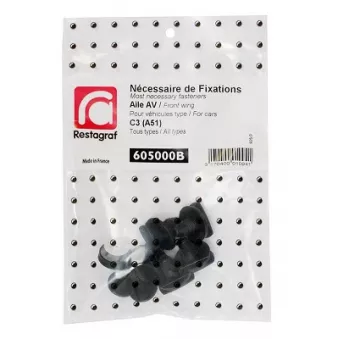 Kit de clip de fixation, carrosserie RESTAGRAF 605000B pour CITROEN C3 1.1 - 60cv