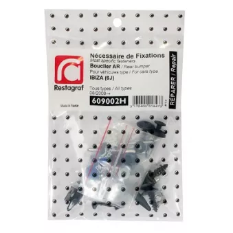 Kit de clip de fixation, carrosserie RESTAGRAF 609002H