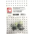 RESTAGRAF 615001V - Kit de clip de fixation, carrosserie