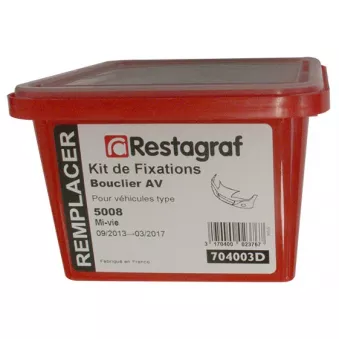 Kit de clip de fixation, carrosserie RESTAGRAF 704003D