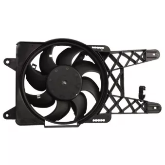 THERMOTEC D8F030TT - Ventilateur, refroidissement du moteur