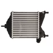 THERMOTEC DAF014TT - Intercooler, échangeur