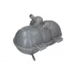 THERMOTEC DBG029TT - Vase d'expansion, liquide de refroidissement