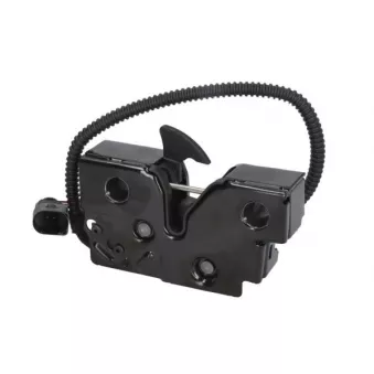 BLIC 6010-01-061424P - Serrure de capot-moteur