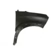 BLIC 6504-04-0532316P - Aile avant droit 