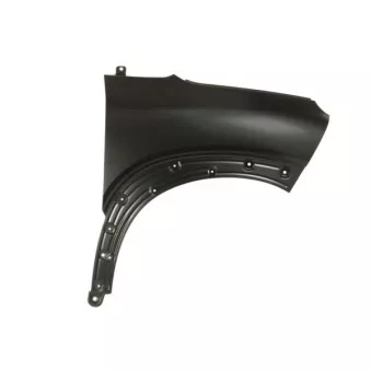 Aile avant droit BLIC 6504-04-0532316P