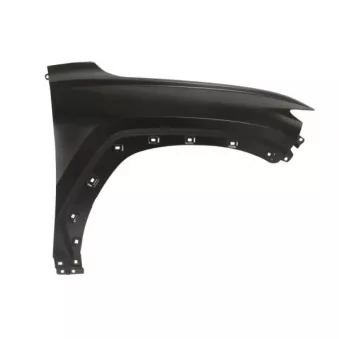 Aile avant droit BLIC 6504-04-3187312P