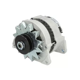 Alternateur STARDAX STX100260R