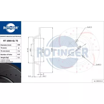 ROTINGER RT 1064-GL T5 - Jeu de 2 disques de frein arrière