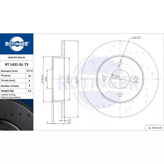 Jeu de 2 disques de frein arrière ROTINGER OEM 43206021VA