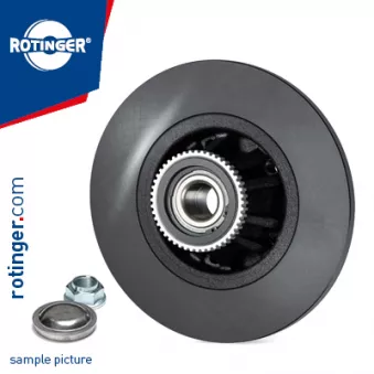 Jeu de 2 disques de frein arrière ROTINGER OEM 7700805148