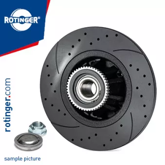 Jeu de 2 disques de frein arrière ROTINGER OEM 7700805148