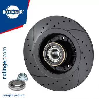 Jeu de 2 disques de frein arrière ROTINGER OEM 402020005R