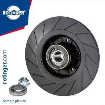 Jeu de 2 disques de frein arrière ROTINGER OEM 402020005R