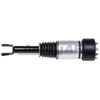 Amity AP 28-AS-0522 - Armortisseur pneumatique avant