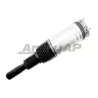 Amity AP 28-AS-0563 - Armortisseur pneumatique avant droit