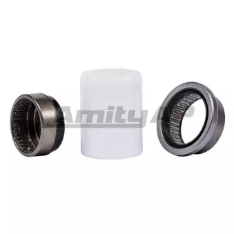 Jeu de coussinets, corps de l'essieu arrière Amity AP [42-AX-0100]