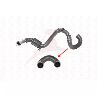 Gaine de suralimentation MEHA AUTOMOTIVE OEM 1655600Q0D