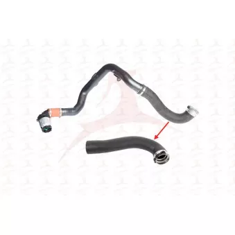 Gaine de suralimentation MEHA AUTOMOTIVE OEM 95519172