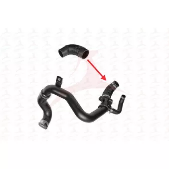 Gaine de suralimentation MEHA AUTOMOTIVE OEM 50521550