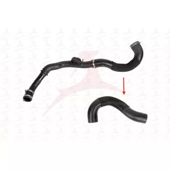 Gaine de suralimentation MEHA AUTOMOTIVE OEM 2501583